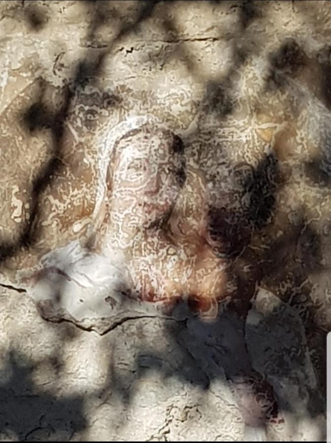 Chambre d'hôte Geiko Cabrieres-d'Aigues Buitenkant foto